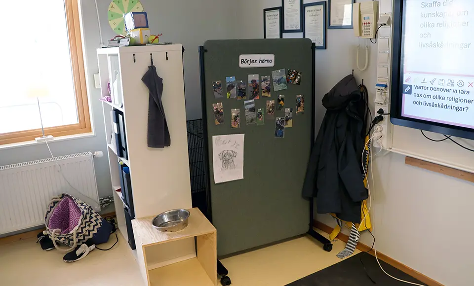 Börjes hörna i klassrummet. Här finns vattenskål, bur och skärmvägg.