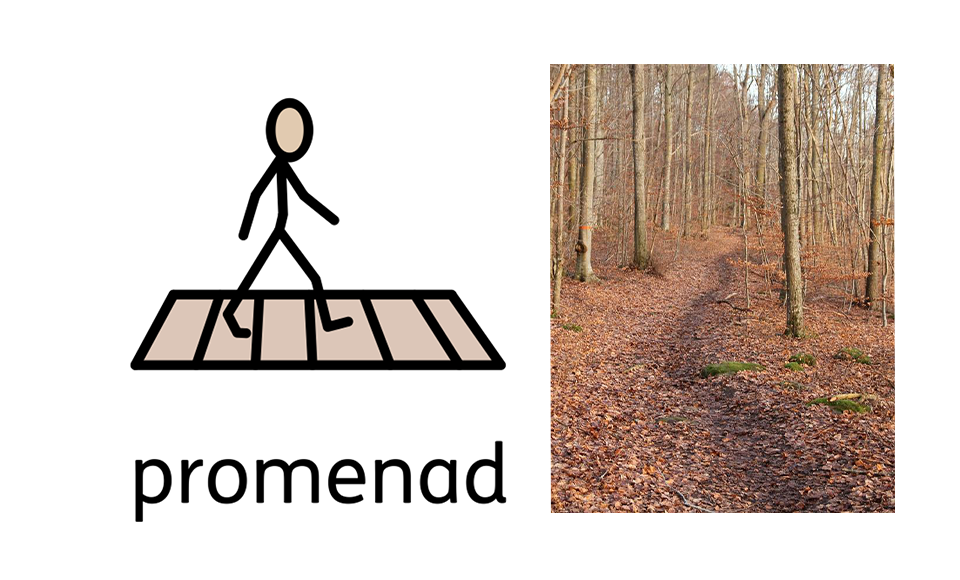 Bilden visar en bildstödsillustration för promenad och ett foto på en skog.