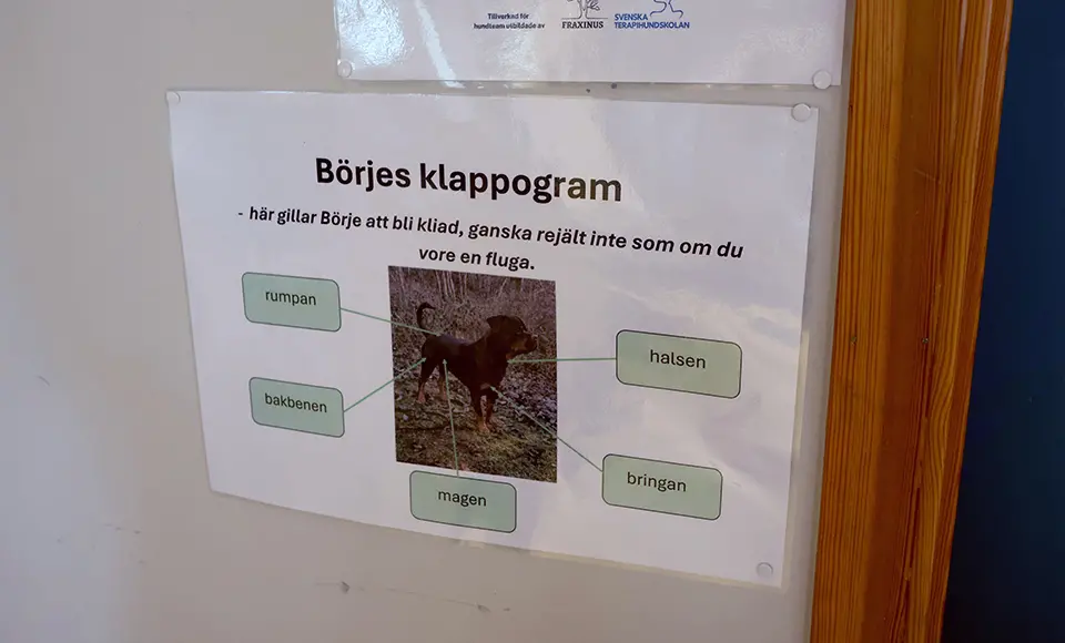 Börjes klappogram med beskrivning av var Börje bäst tycker om att bli klappad och hur.
