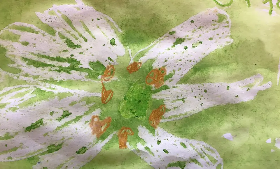 En teckning som föreställer en vit blomma med grön bakgrund.