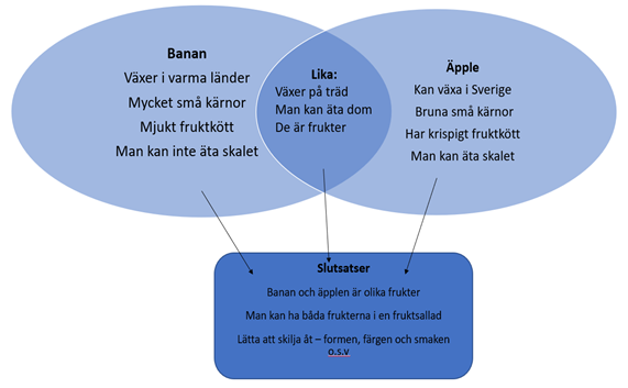 Bild som visar på hur man kan tydliggöra likheter och olikheter mellan ord med hjälp av ett Venn-diagram