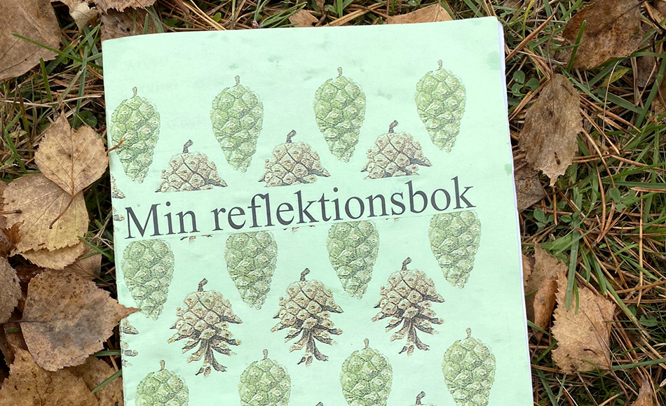 Bild på "Min reflektionsbok" som ligger på marken. Boken är grön och full med bilder på kottar. 