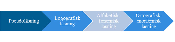 Pil som visar läsutvecklingens fyra faser: pseudoläsning, logografisk läsning, alfabetisk-fonemisk läsning och ortografisk-morfemisk läsning