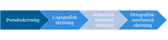 Illustration på skrivutvecklingens faser - pseudoskrivning, logografisk skrivning, alfabetisk-fonemisk skrivning, ortografisk-morfemisk skrivning