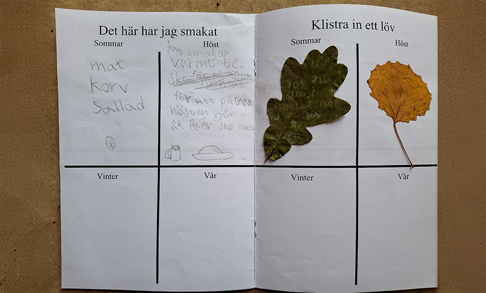 Mitt år med alla mina sinnen-bok