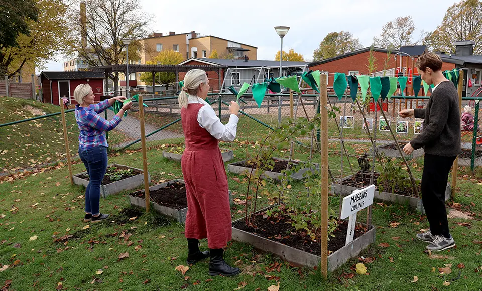 Tre personer står och rättar till ett flaggspel som är uppspänt runt några odlingslådor på en förskolegård.